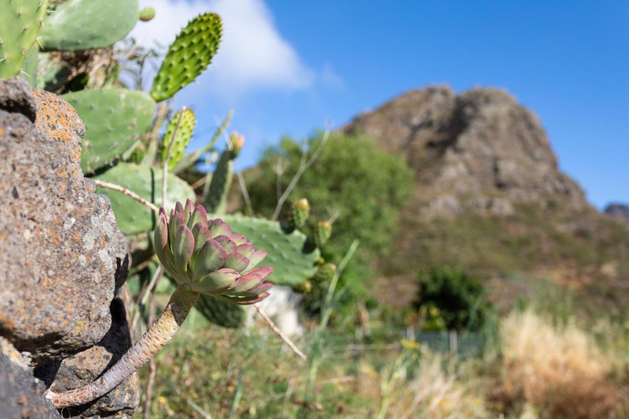 Home2Book Nature Carrizales And Masca House & Wifi ブエナビスタ・デル・ノルテ エクステリア 写真