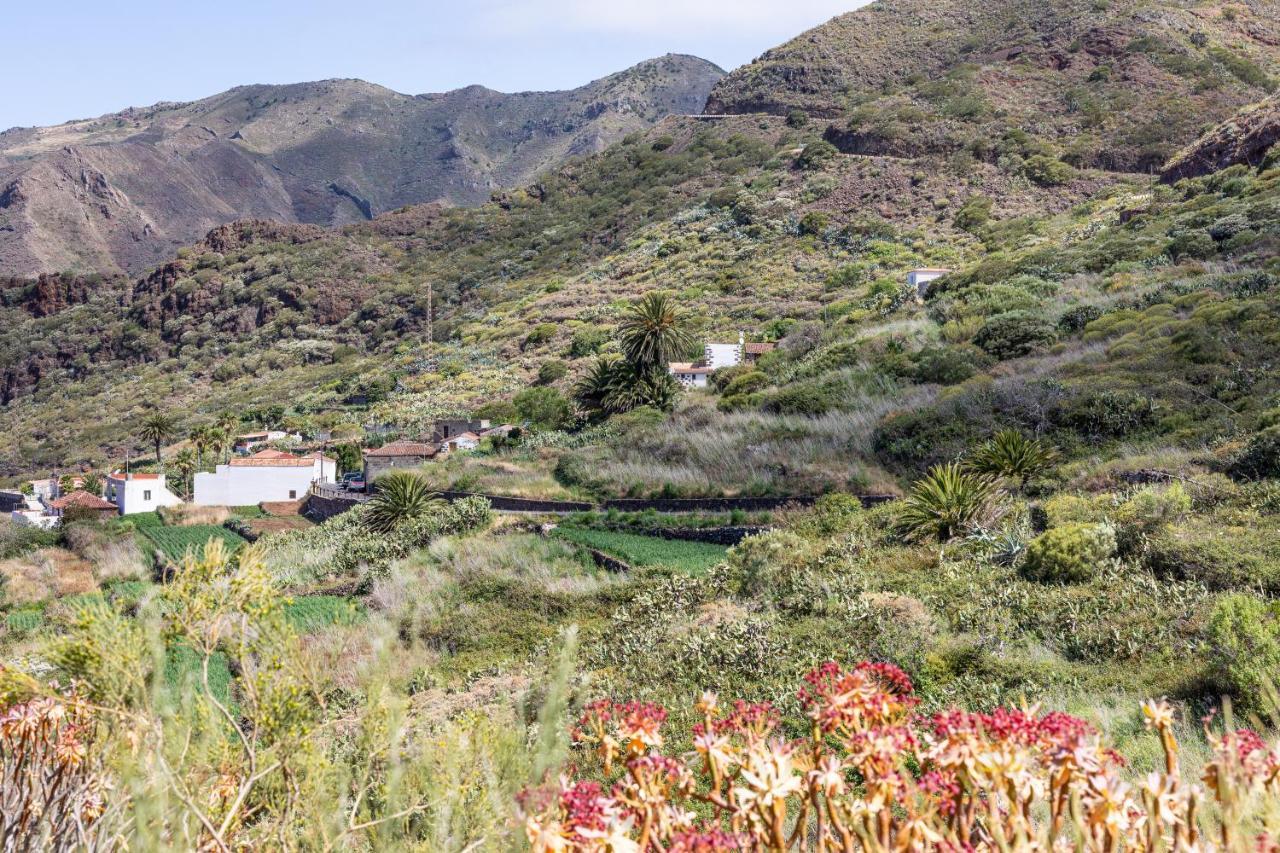 Home2Book Nature Carrizales And Masca House & Wifi ブエナビスタ・デル・ノルテ エクステリア 写真