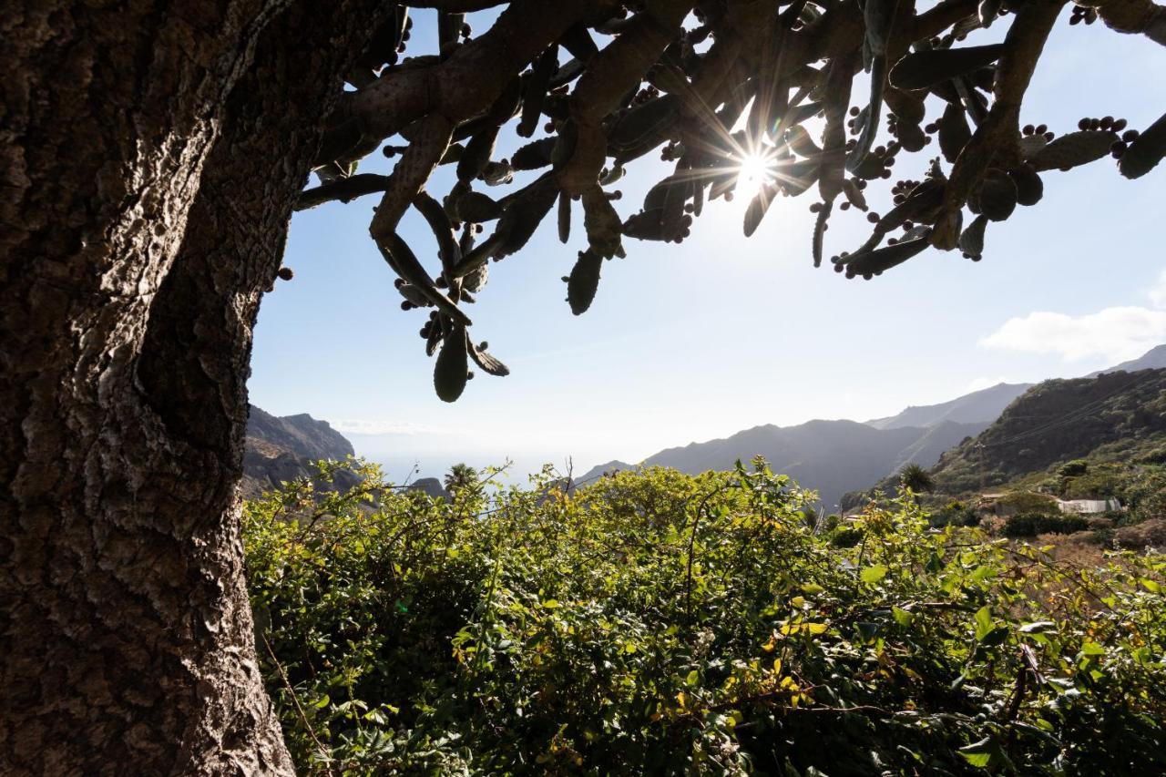 Home2Book Nature Carrizales And Masca House & Wifi ブエナビスタ・デル・ノルテ エクステリア 写真
